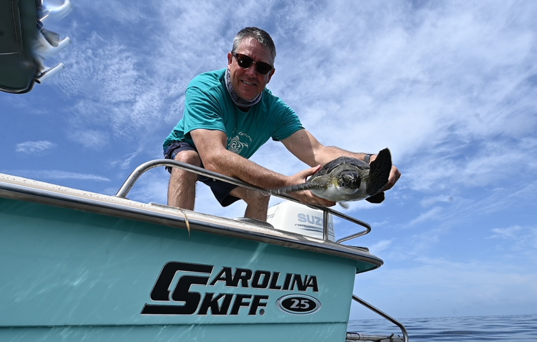 Expert with sea turtle outside the water. Safety boating, share the ocean with its wild life!